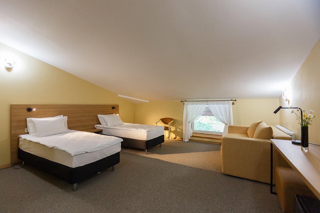 Стандарт Мансарда №305