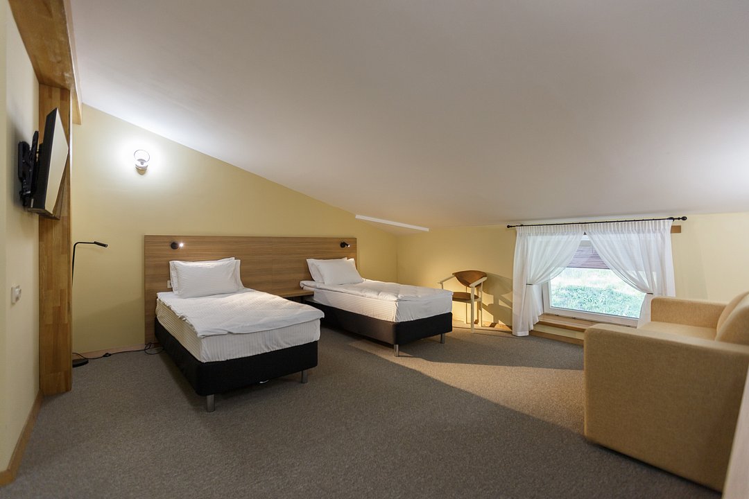 Стандарт Мансарда №305