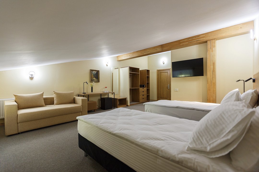 Стандарт Мансарда №305