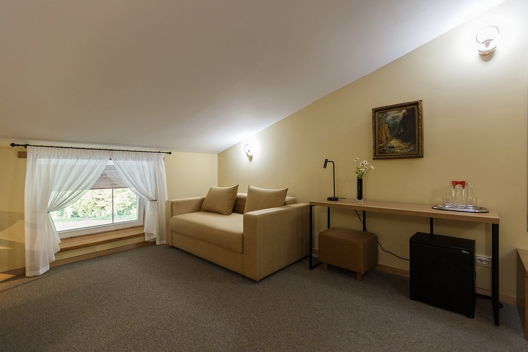 Стандарт Мансарда №305