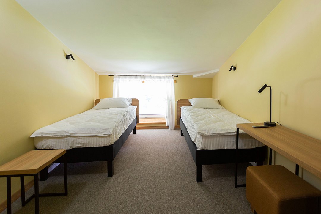 Стандарт Мансарда №307