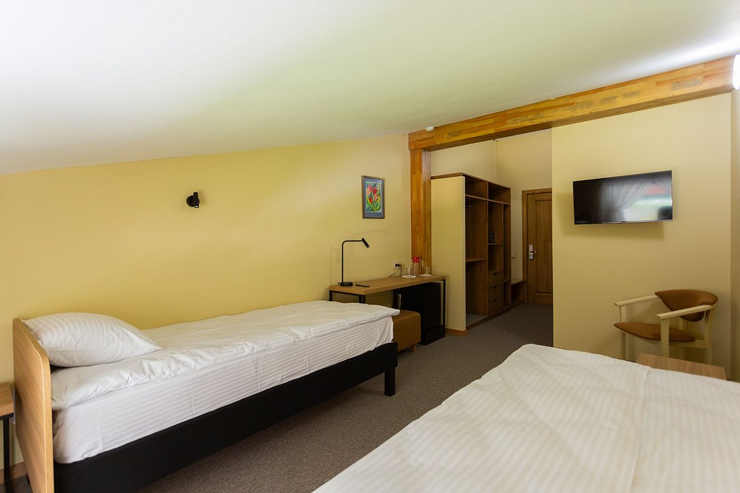 Стандарт Мансарда №307