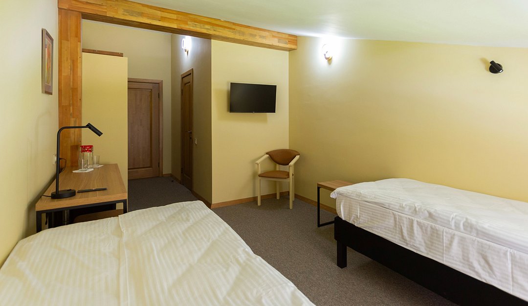 Стандарт Мансарда №307