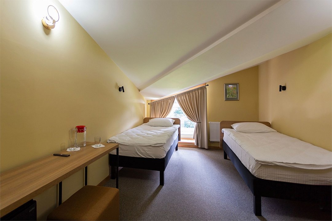 Стандарт Мансарда №308