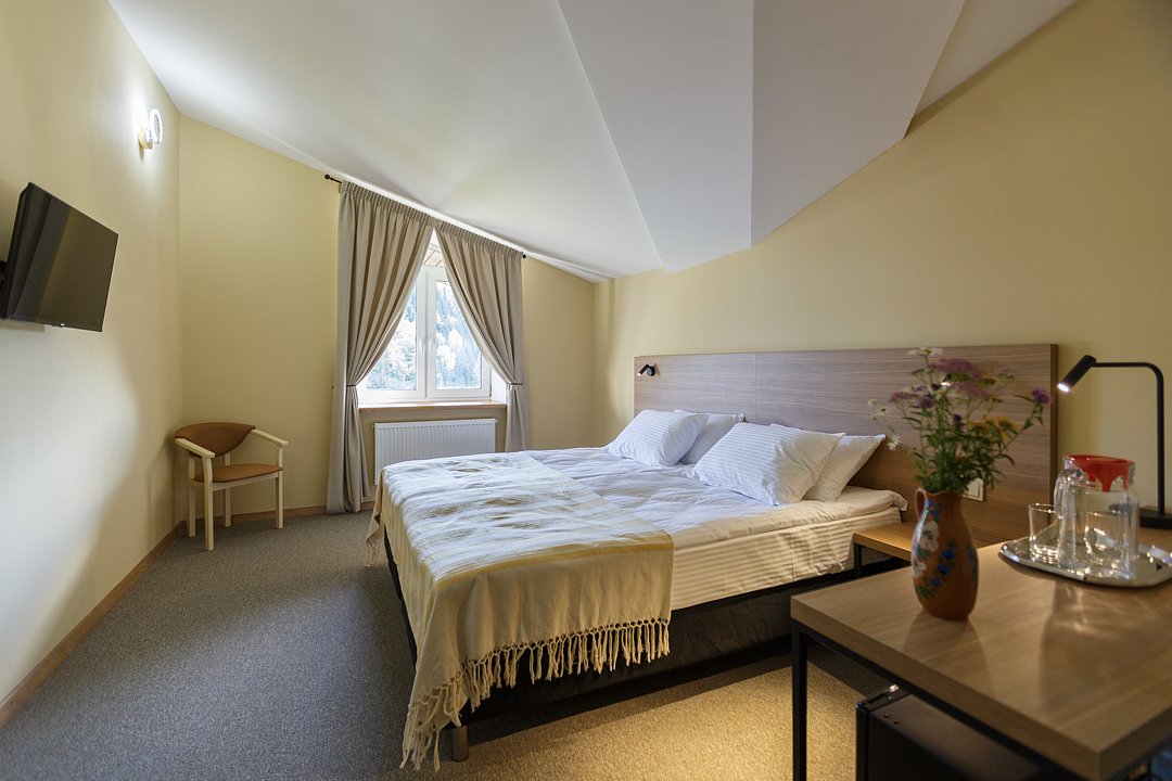 Стандарт Мансарда №310