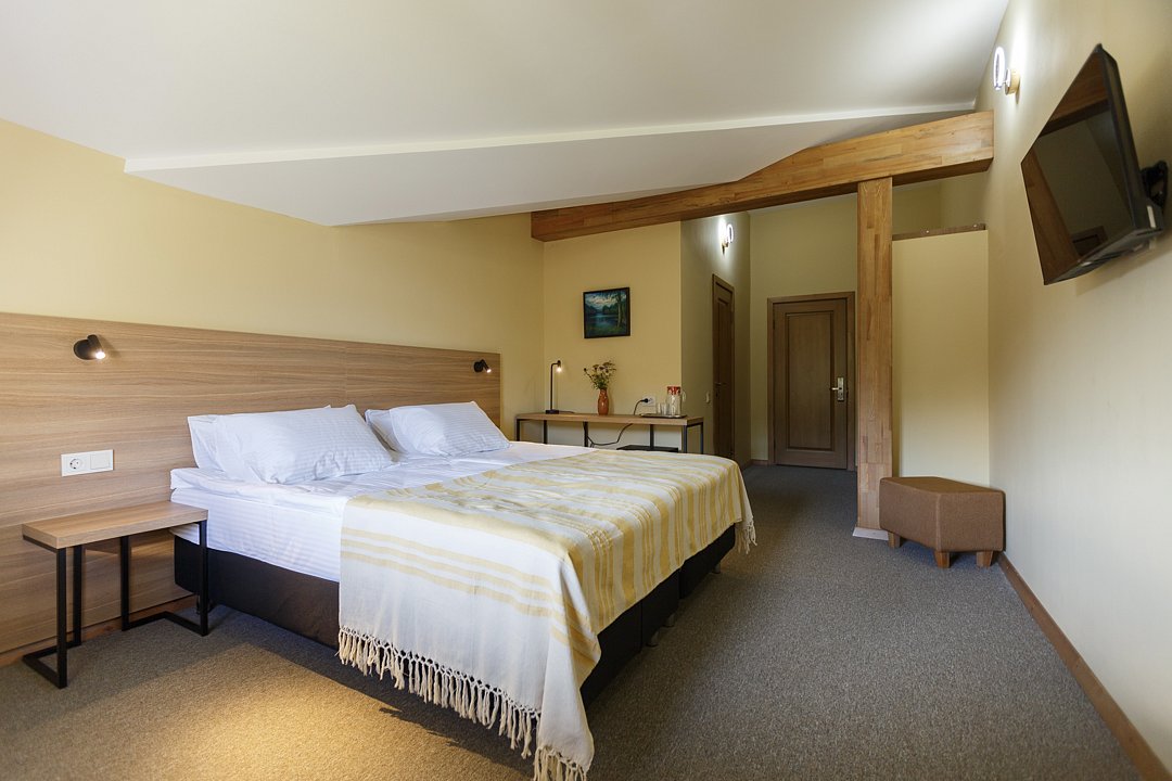 Стандарт Мансарда №310