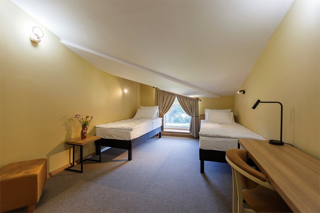 Стандарт Мансарда №311