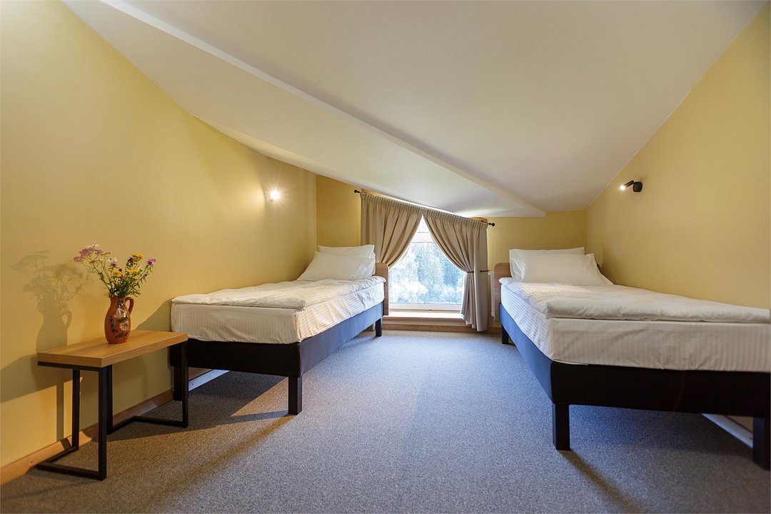 Стандарт Мансарда №311