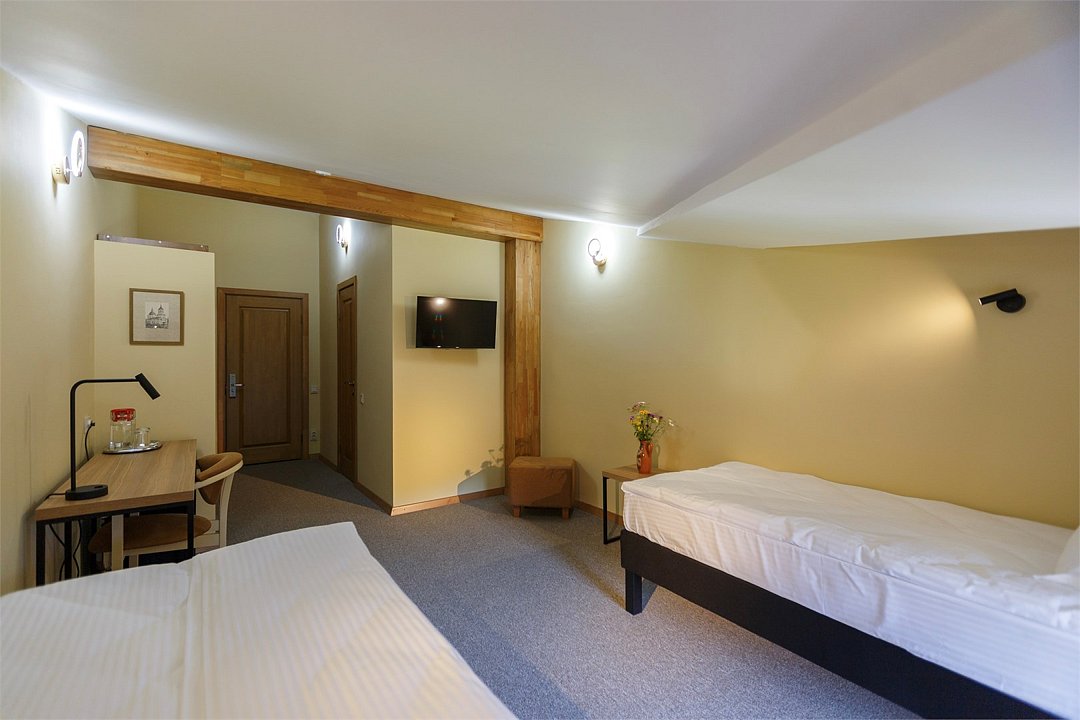 Стандарт Мансарда №311