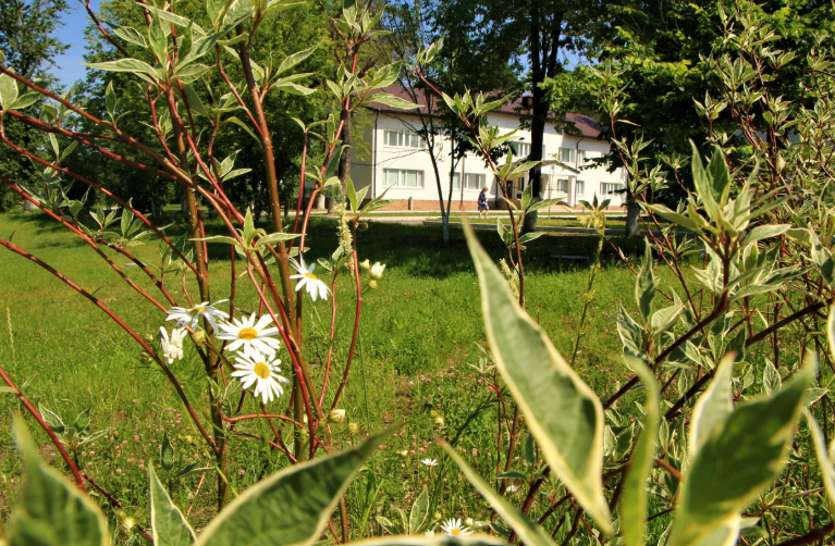 S7 Hotel Bityagovo, Московская область: фото 3