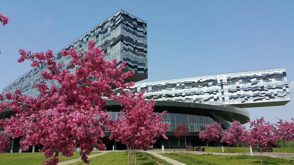 Памир» и «Тянь-Шань», Московская область: фото 2