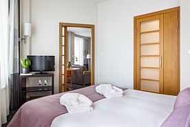 Номер Люкс с двуспальной кроватью и диваном, Отель Novotel St. Petersburg Centre, Санкт-Петербург