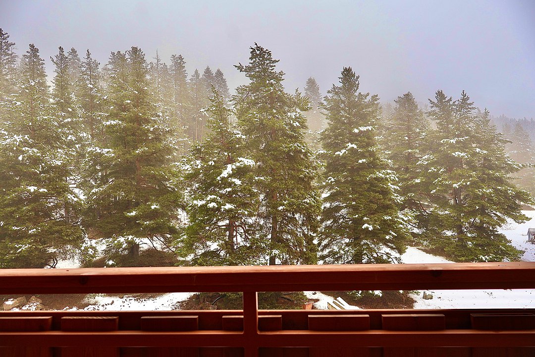 Standart plus 2-местный 1-комнатный