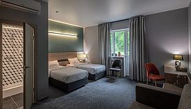 Делюкс, Отель Freezone Inn, Чеховский