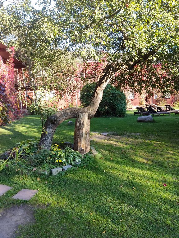 Фото из отзыва от 22.09.2025