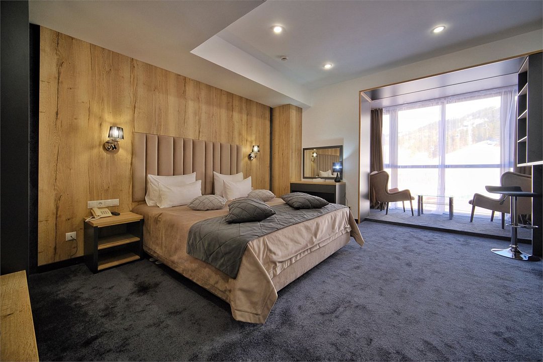 Джуниор Сюит 2-местный 1-комнатный Панорамный