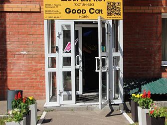 Гостиница Добрый кот