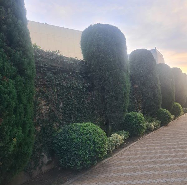 Бутик-отель "Гринхаус", Краснодарский край: фото 3