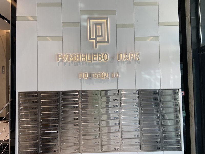 Vnukovo airport, Московская область: фото 4