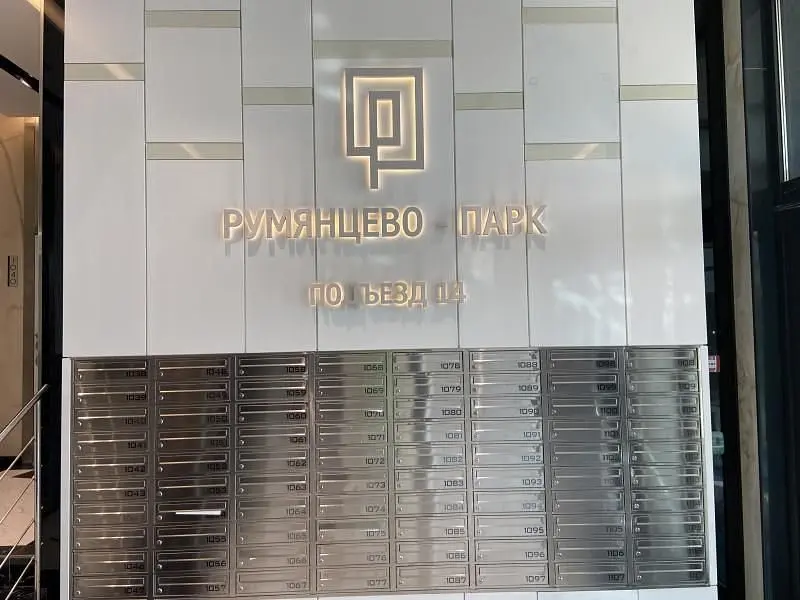 Vnukovo airport, Московская область: фото 4