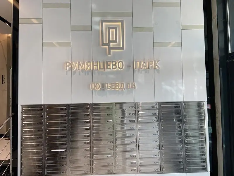 Vnukovo airport, Московская область: фото 4