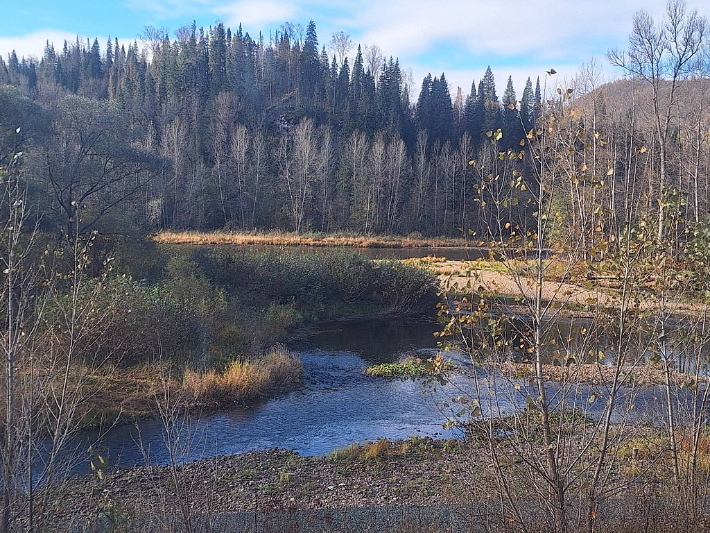 Фото из отзыва от 21.09.2025