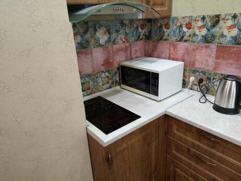 Апартаменты Ломоносова, Новосибирская область: фото 3