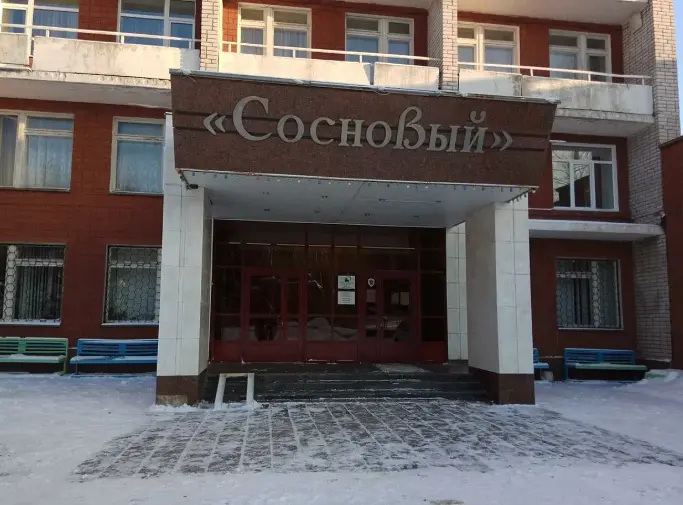 Сосновый, Республика Удмуртия: фото 5