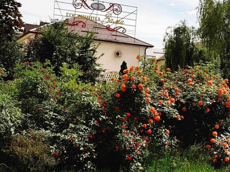 Гостиница Зама, Чеченская Республика: фото 2
