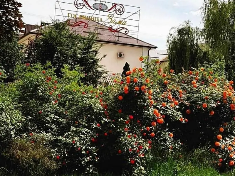 Гостиница Зама, Чеченская Республика: фото 2