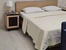 ПОЛУ ЛЮКС:  однокомнатный двухместный номер с двуспальной кроватью., Гостиница Зама, Грозный