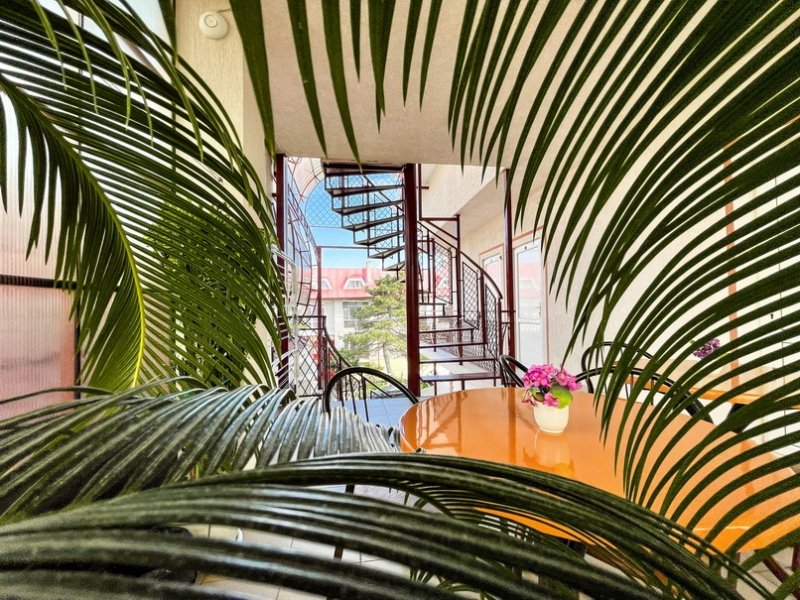 Отель Ольга, Краснодарский край: фото 2