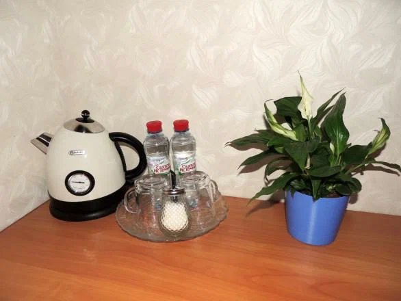 Мини-отель Dragonfly, Республика Коми: фото 3