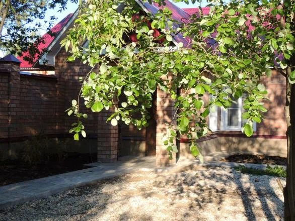 Мини-отель Dragonfly, Республика Коми: фото 5