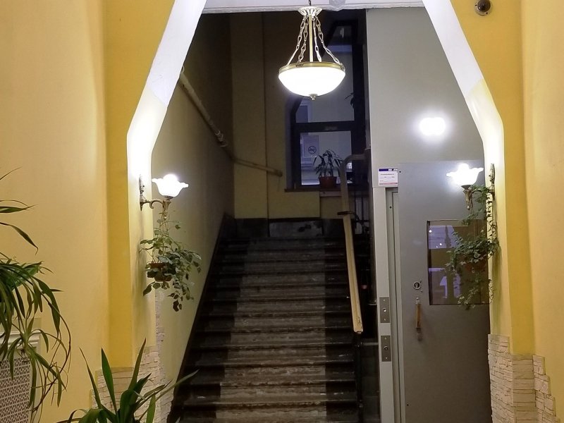 Невский Кристалл, Ленинградская область: фото 2