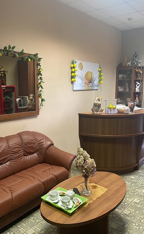 Лимон на Шостаковича, Ленинградская область: фото 5