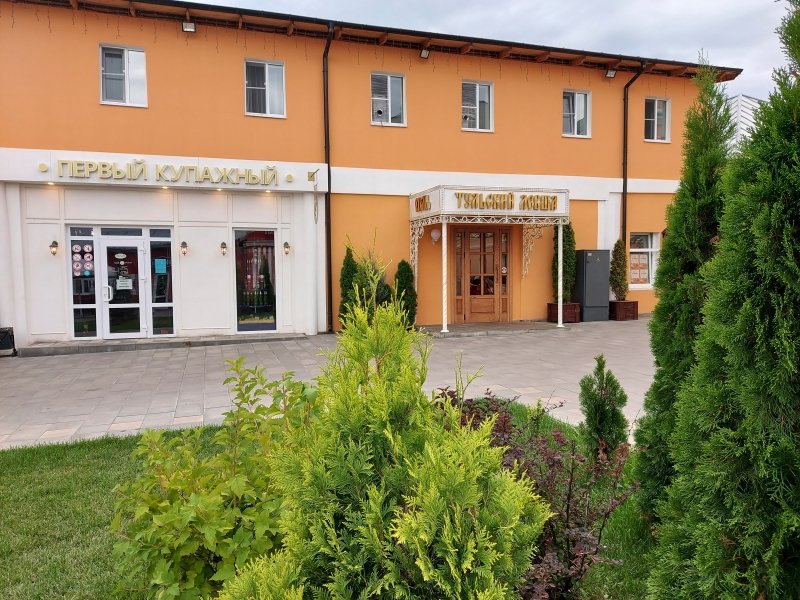 Отель Тульский Левша, Тульская область: фото 2