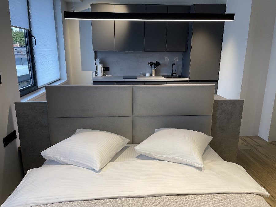 Студио 2-местный Elite Плюс (№228)