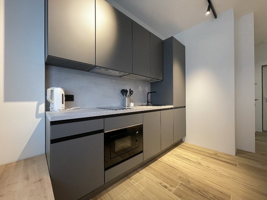 Студио 2-местный Elite Плюс (№228)