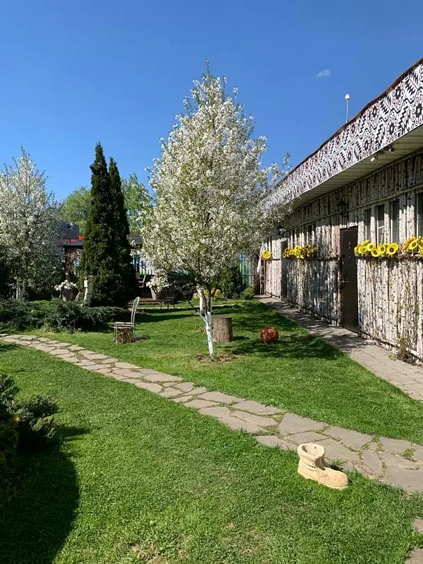 ХАТА, Московская область: фото 4