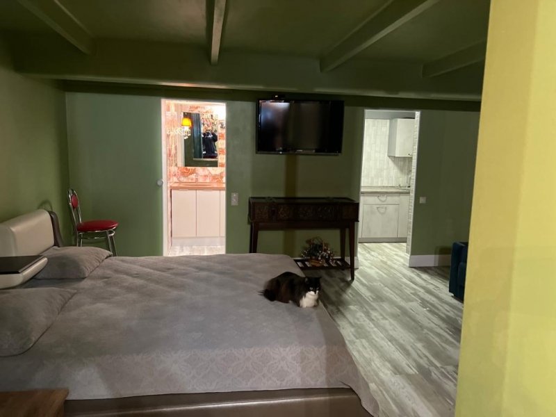 Студии рядом с Институтом ядерной медицины в Химках, Московская область: фото 3