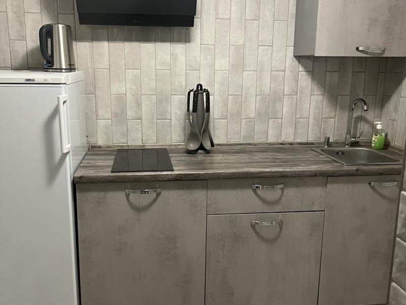 Студии рядом с Институтом ядерной медицины в Химках, Московская область: фото 4