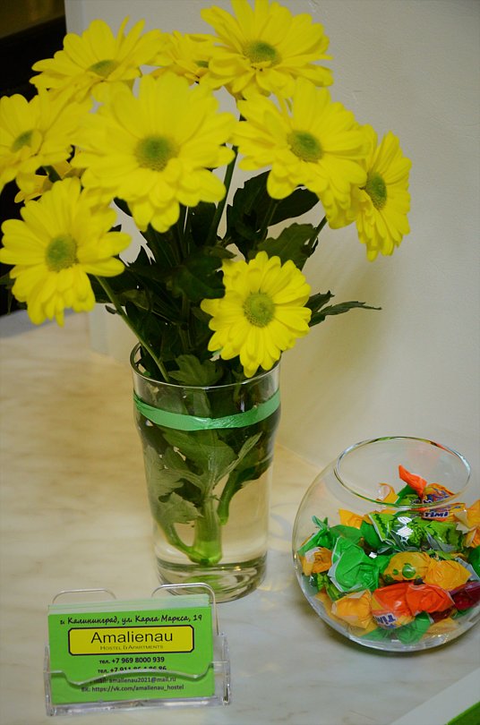 AMALIENAU HOSTEL&APARTMENTS, Калининградская область: фото 2