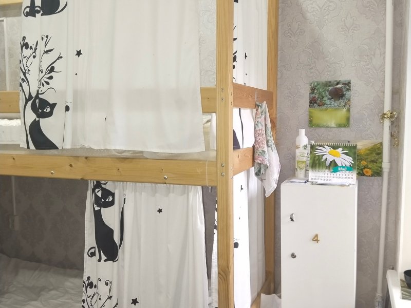 Большой Казачий, Ленинградская область: фото 4