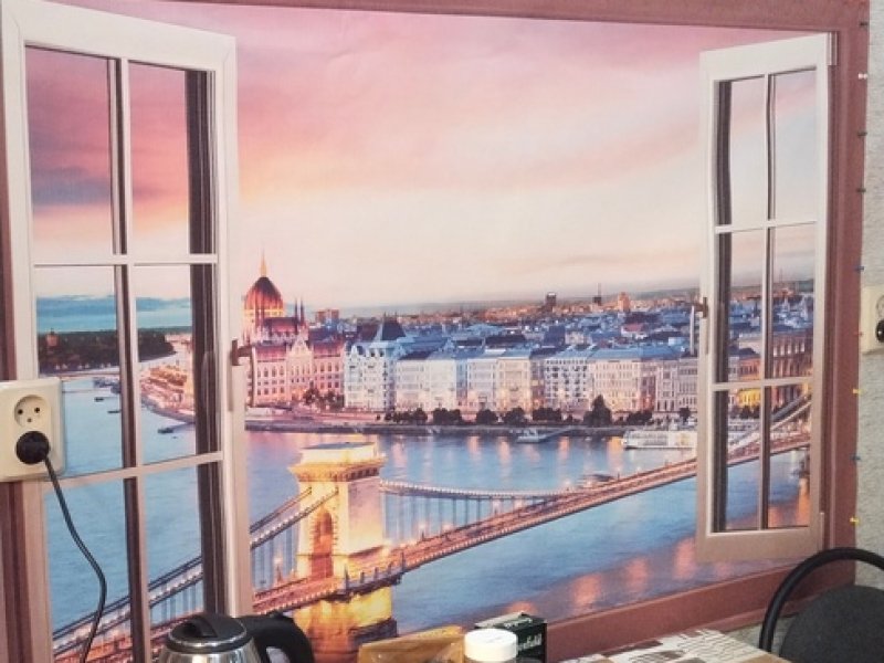 Большой Казачий, Ленинградская область: фото 5