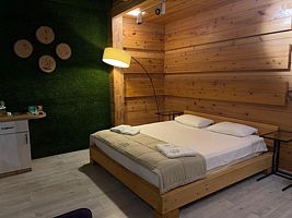 Полулюкс №10 2-местный, Отель Green Landiya Hotel, Бирюзовая Катунь