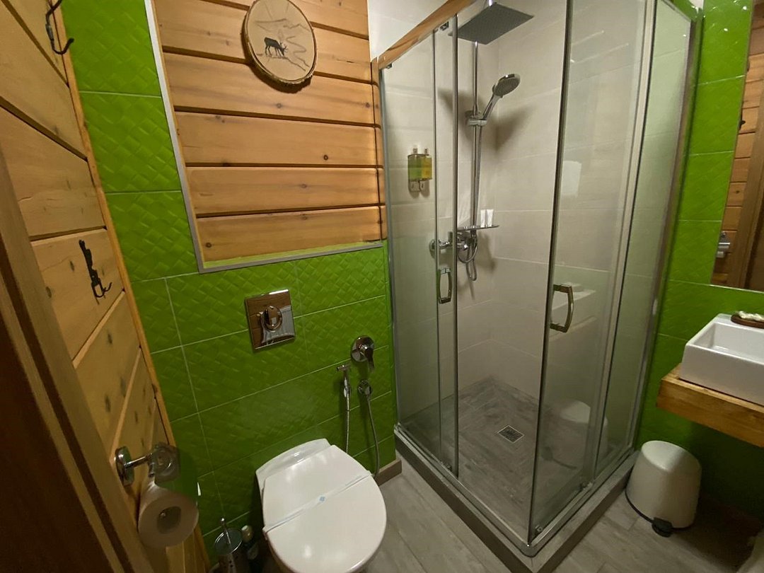 Полулюкс 2-местный №10 (корпус 1)