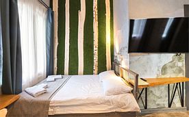 Стандарт Mini+ №1, Отель Green Landiya Hotel, Бирюзовая Катунь