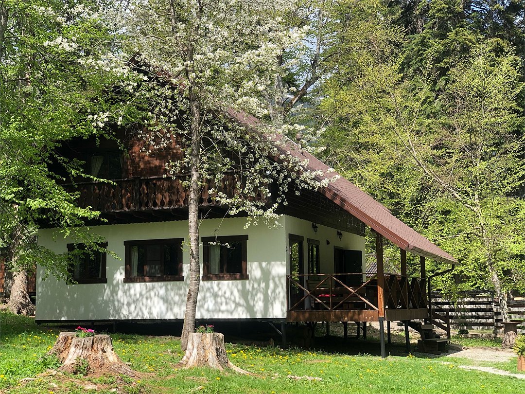 Kulrashe Chalet, Республика Карачаево-Черкесия: фото 2