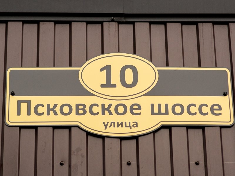 Сова, Псковская область: фото 4